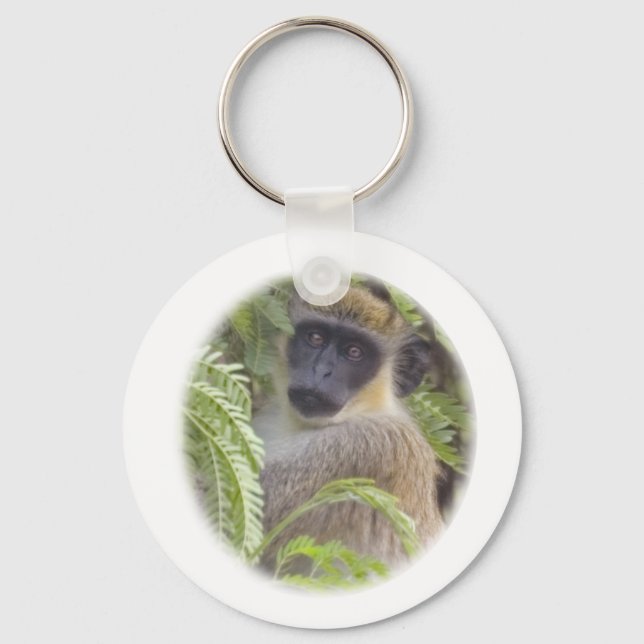 Chaveiro Green Vervet Monkey (Frente)