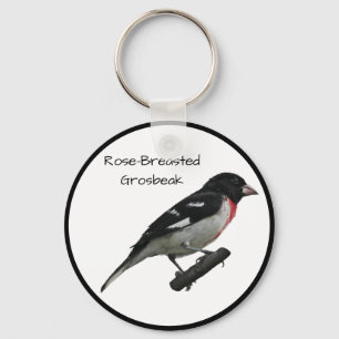 Chaveiro Grosbeak-Breast