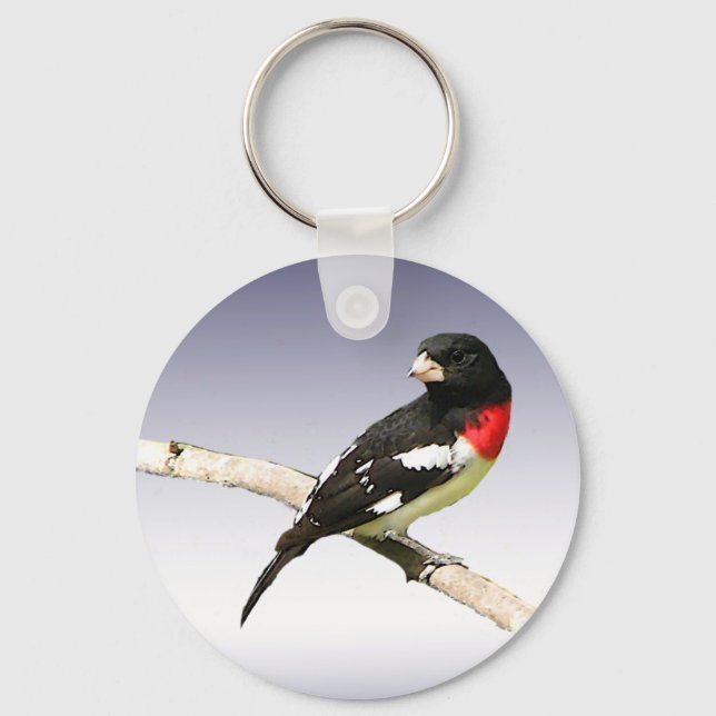 Chaveiro Grosbeak de peito rosa (Frente)