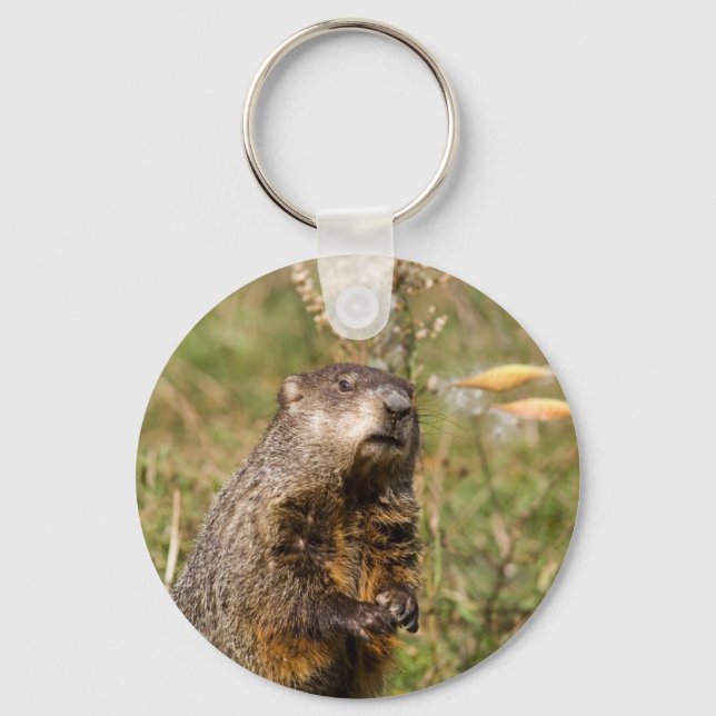 Chaveiro Groundhog (Frente)
