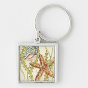 Chaveiro Grupo de Shell Multicolores