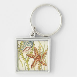 Chaveiro Grupo de Shell Multicolores