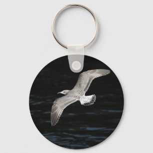 Chaveiro Gull