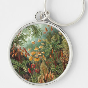 Chaveiro Haeckel