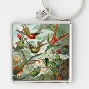 Chaveiro Haeckel