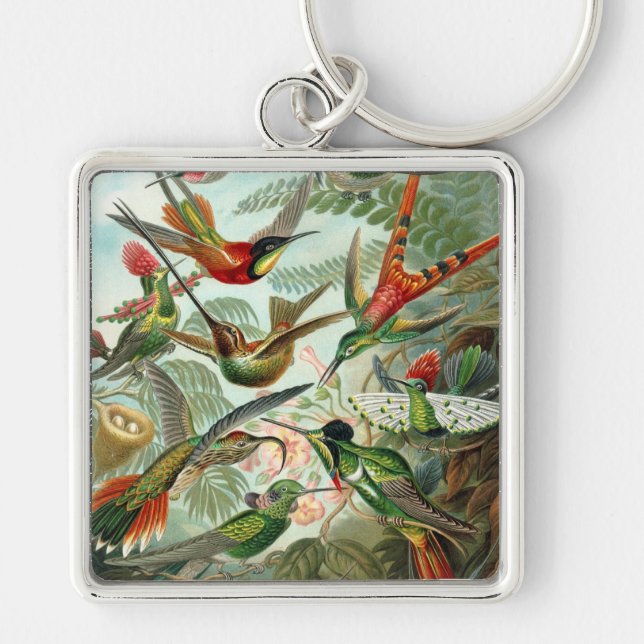 Chaveiro Haeckel (Frente)