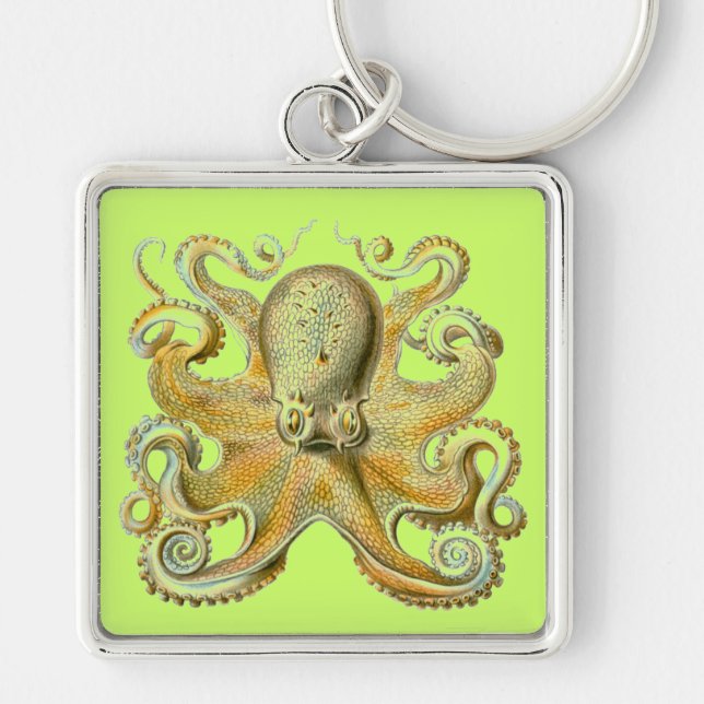 Chaveiro Haeckel Octopus (Frente)