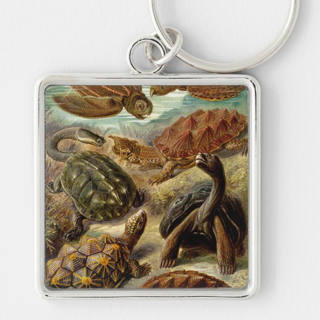 Chaveiro Haeckel Turtles (Frente)