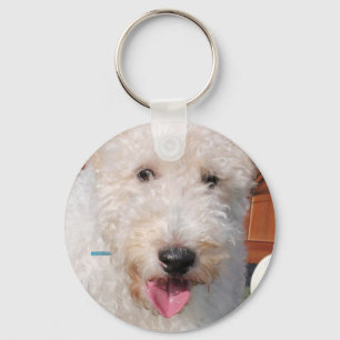 Chaveiro Hailey - Fox Terrier Foto-8 da Wire Fox