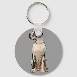 Chaveiro Harlekin Dogue Alemão