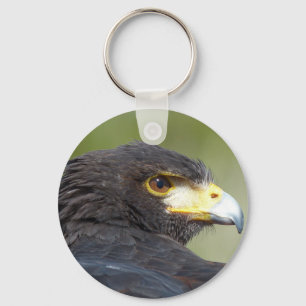 Chaveiro Harris Hawk