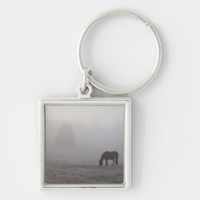 Chaveiro Hazzy Grazing (Frente)