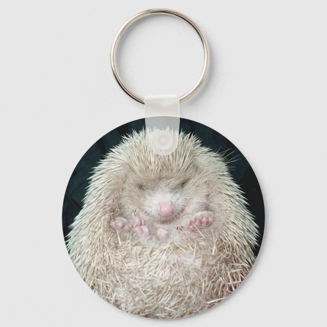 Chaveiro Hedgehog (Frente)