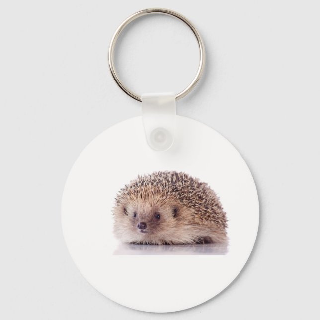 Chaveiro Hedgehog, (Frente)