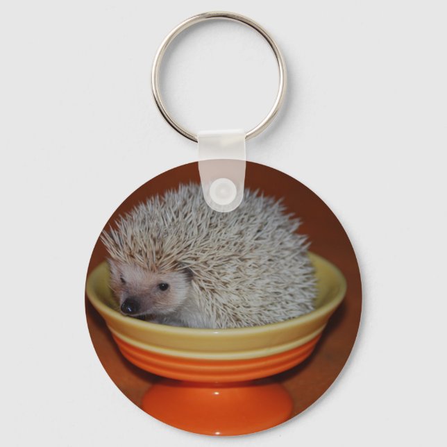 Chaveiro Hedgehog Sundae (Frente)
