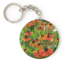 Helênio "Sneezeweed"