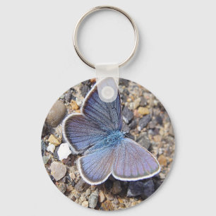 Chaveiro Hellblauer Schmetterling