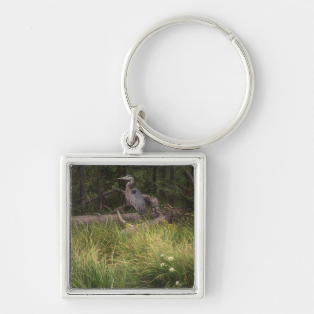 Chaveiro Herão Azul excelente 8917 (Frente)