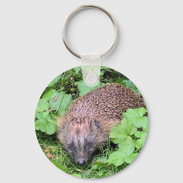Chaveiro Herman Hedgehog (Frente)