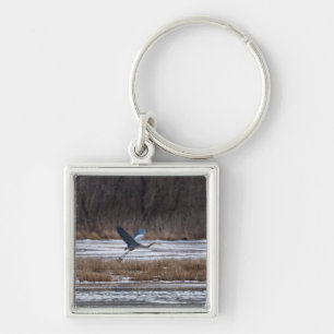 Chaveiro Heron decola