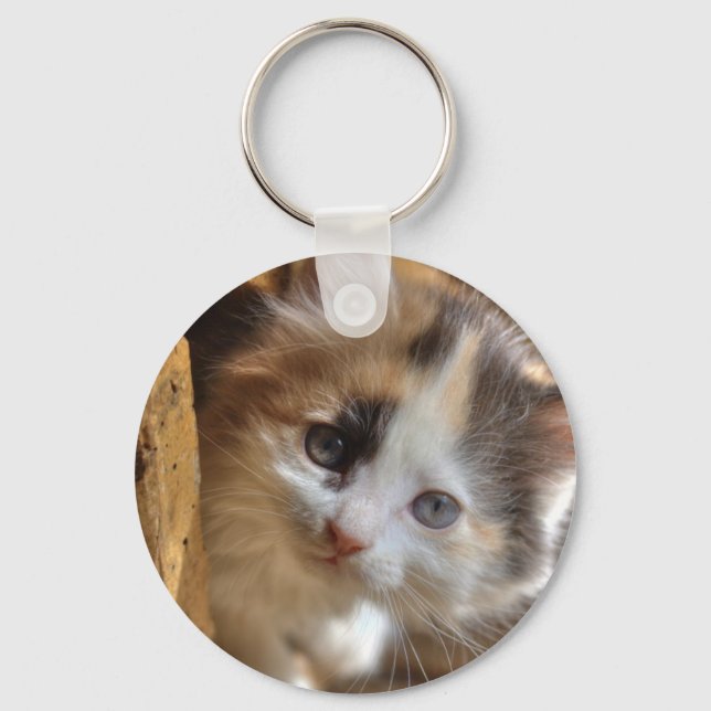 Chaveiro Heterochromia Calico Kitten (Frente)