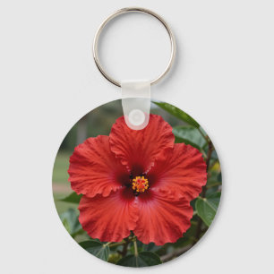 Chaveiro Hibisco Tropical Vermelho Vibrante em Flor