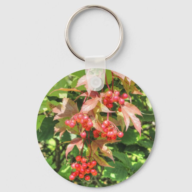 Chaveiro Highbush Cranberry (Frente)