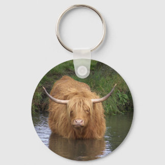 Chaveiro Highland Cattle