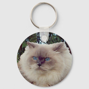 Chaveiro Himalaia Gato Persa