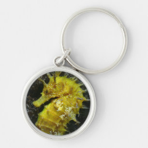 Chaveiro Hipocampo amarelo Guttulatus do cavalo marinho