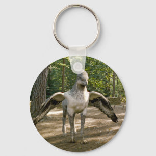 Chaveiro Hippogriff