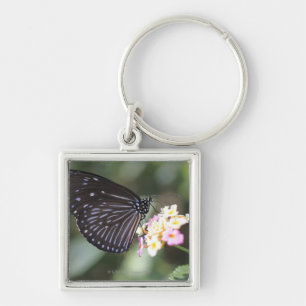 Chaveiro Hodokubo, Hino, Tokyo, Japão 5