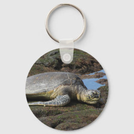 Chaveiro Honu Resting on Warm Rocks