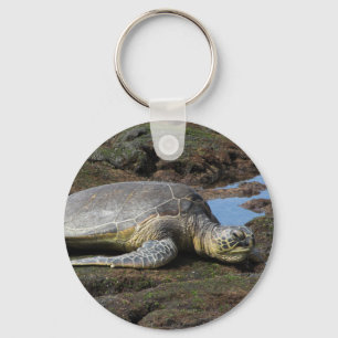 Chaveiro Honu Resting on Warm Rocks