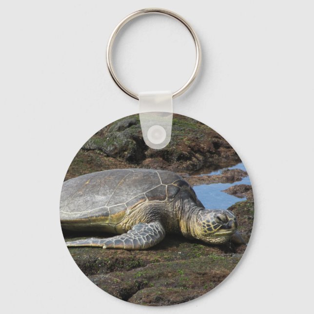 Chaveiro Honu Resting on Warm Rocks (Frente)