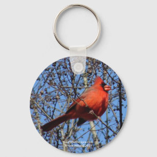 Chaveiro Hot Springs Mountain Promenade Presentes Cardinal