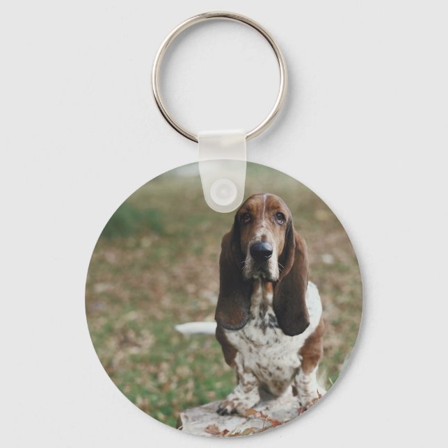 Chaveiro Hound Basset (Frente)