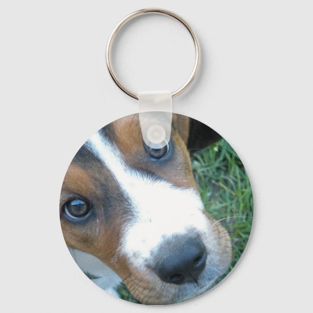Chaveiro Hound Basset 02 (Frente)