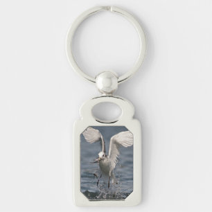 Chaveiro Hovering Kittiwake