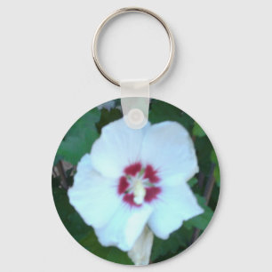CHAVEIRO HPIM0580