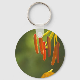 Chaveiro Humboldt Lily Stamens