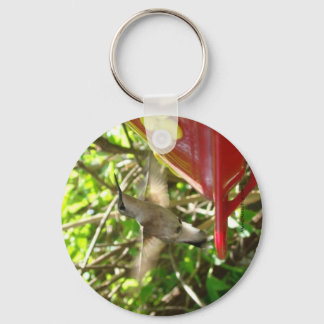 Chaveiro Hummingbird Keychain