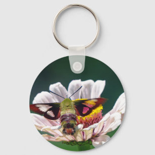 Chaveiro Hummingbird Moth