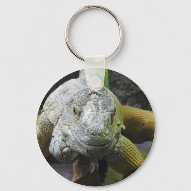 Chaveiro Iguana Key Ring (Frente)