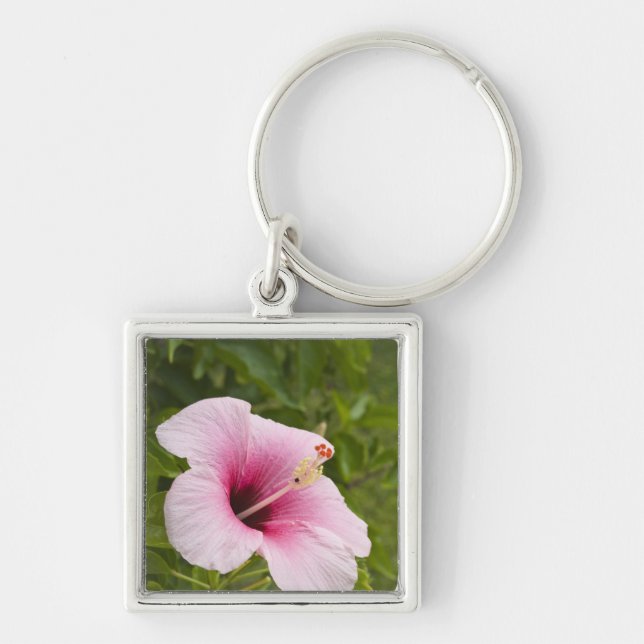 Chaveiro Ilhas Cook, Atiu. Flor de hibisco. (Frente)