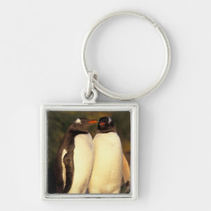 Chaveiro Ilhas Falkland. Pinguins Gentoo. (Pyroscelis