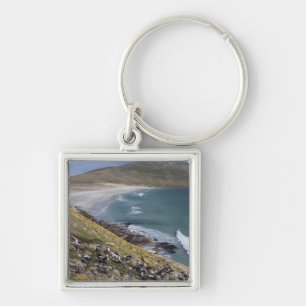 Chaveiro Ilhas Falkland, West Falkland, Saunders