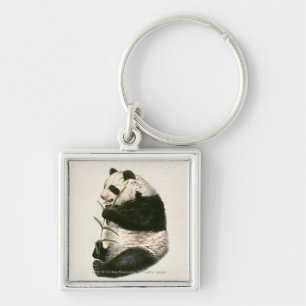 Chaveiro Ilustração da panda gigante que alimenta no bamb