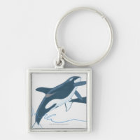 Ilustração de baleias de assassino (orca do
