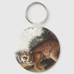 Chaveiro Ilustração de gato selvagem americano (Lynx rufus)